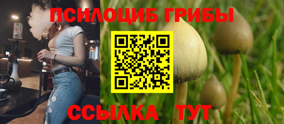 Губаха  Псилоцибиновые грибы мухоморы  Вход с VPN 